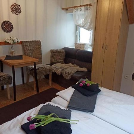 Apartmany Ziakova - Ubytovani Nove Hrady 111 מראה חיצוני תמונה