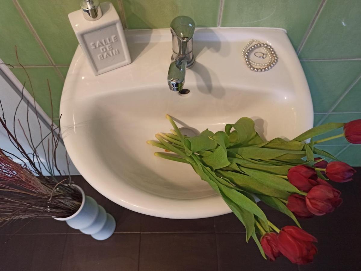 Apartmany Ziakova - Ubytovani Nove Hrady 111 מראה חיצוני תמונה