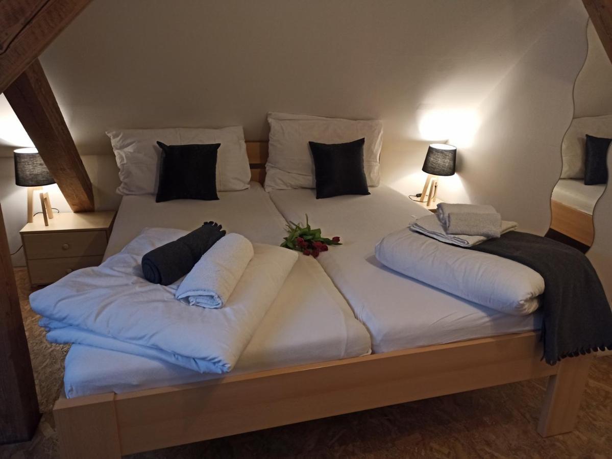 Apartmany Ziakova - Ubytovani Nove Hrady 111 מראה חיצוני תמונה