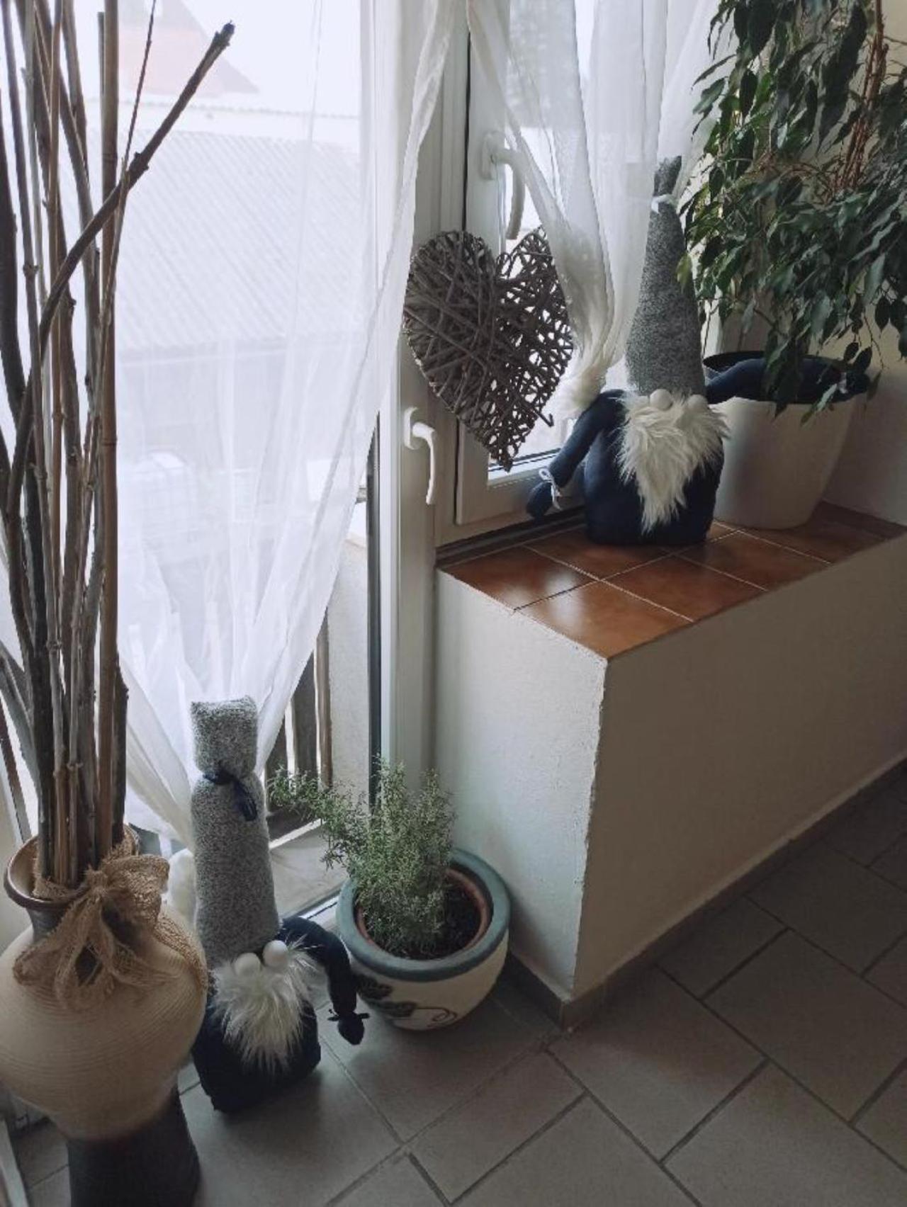 Apartmany Ziakova - Ubytovani Nove Hrady 111 מראה חיצוני תמונה